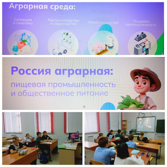 Россия аграрная: пищевая промышленность и общественное питание.
