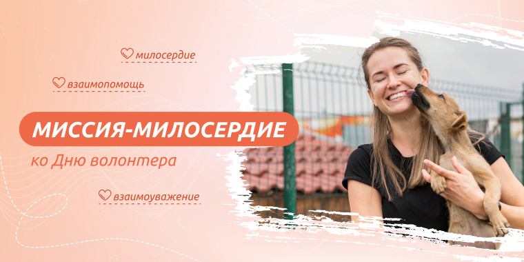 «Миссия-милосердие. Ко дню волонтера».